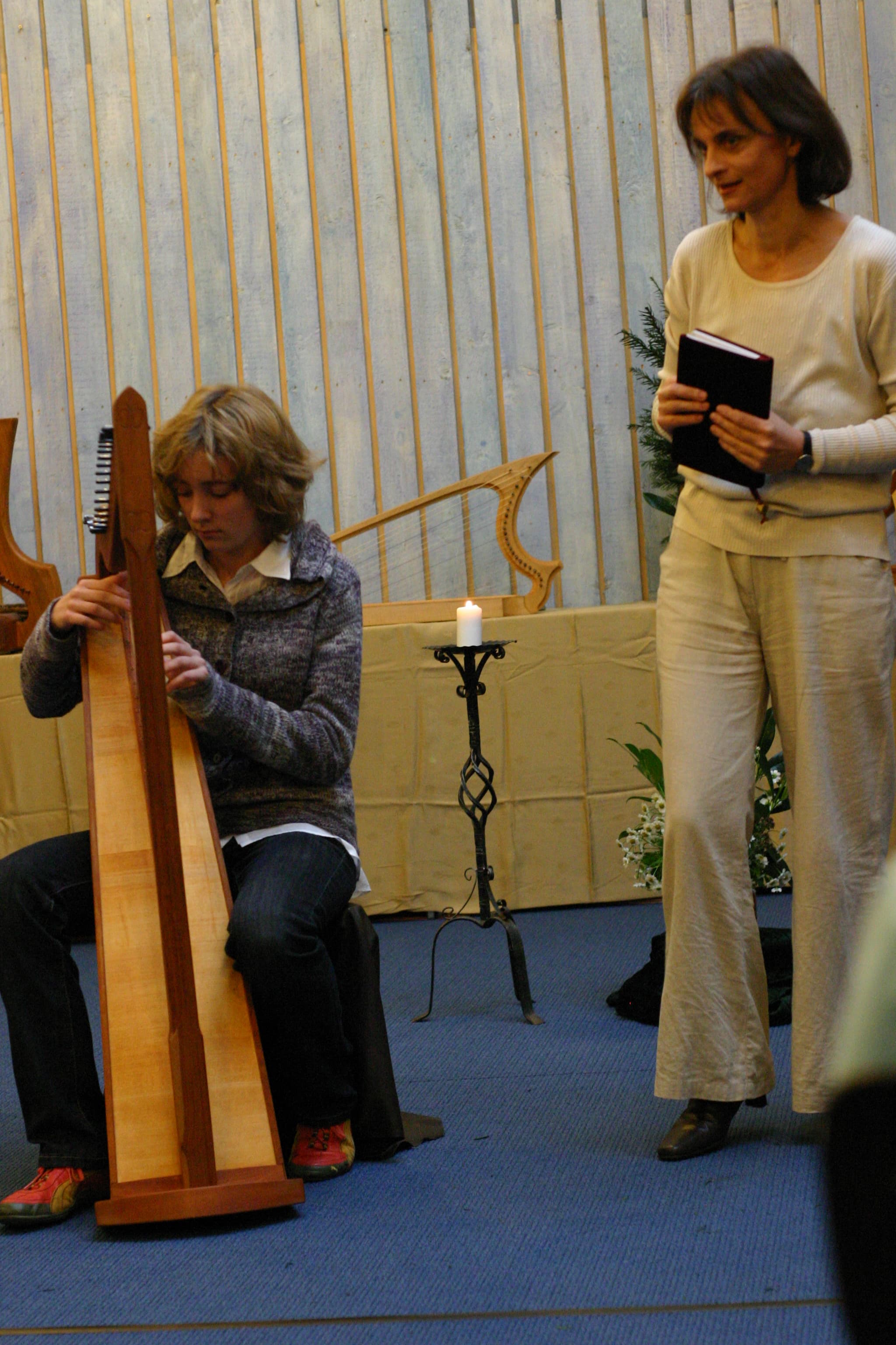 Harfenunterricht für Erwachsene