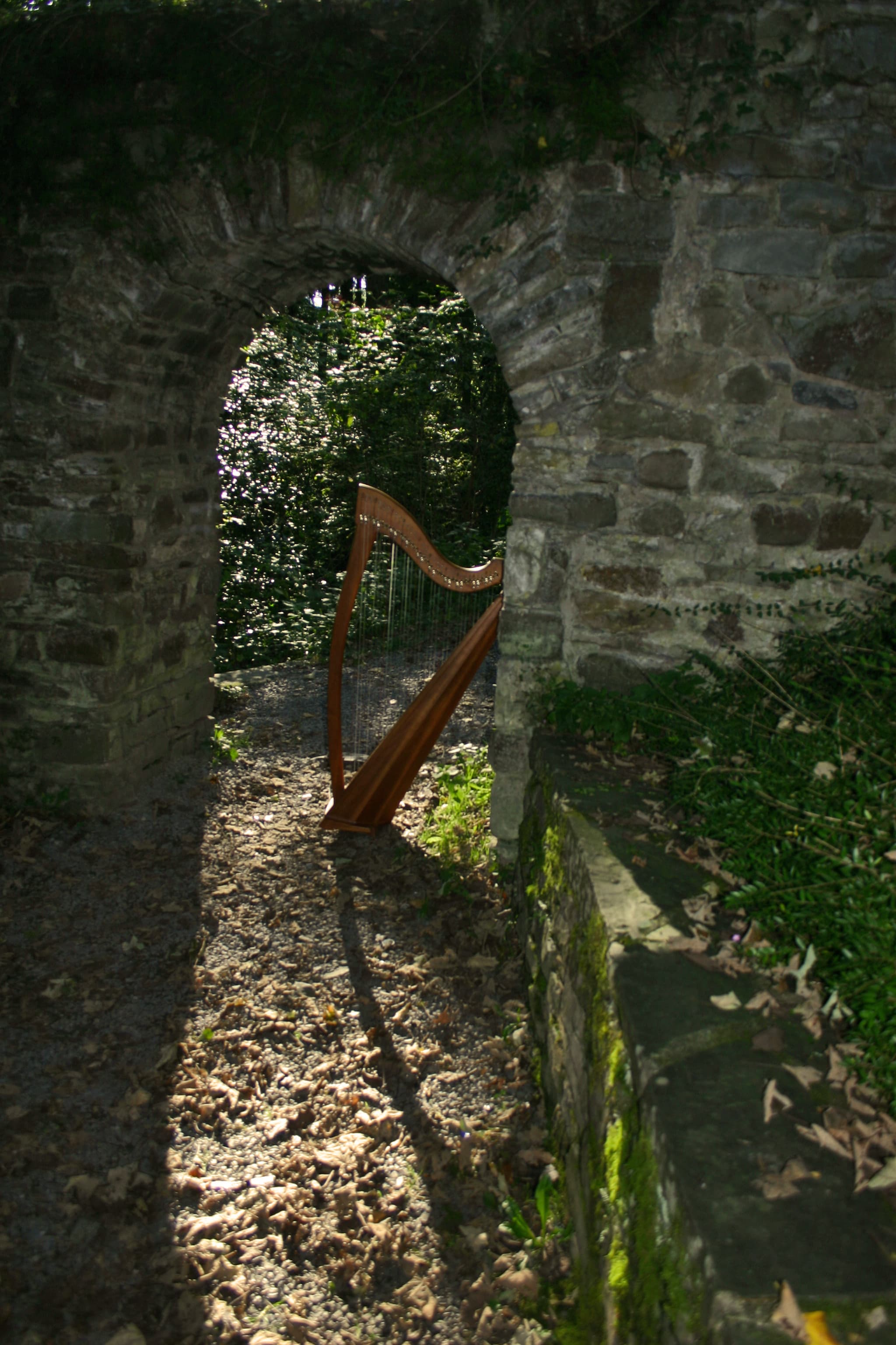 Lesung und Harfenmusik im Rahmen von Nümbrecht im Lesefieber