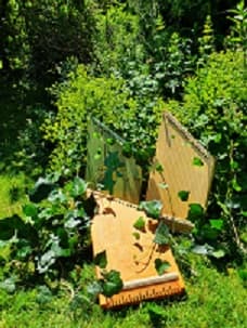 Sommerferienkurs im Harfenhaus