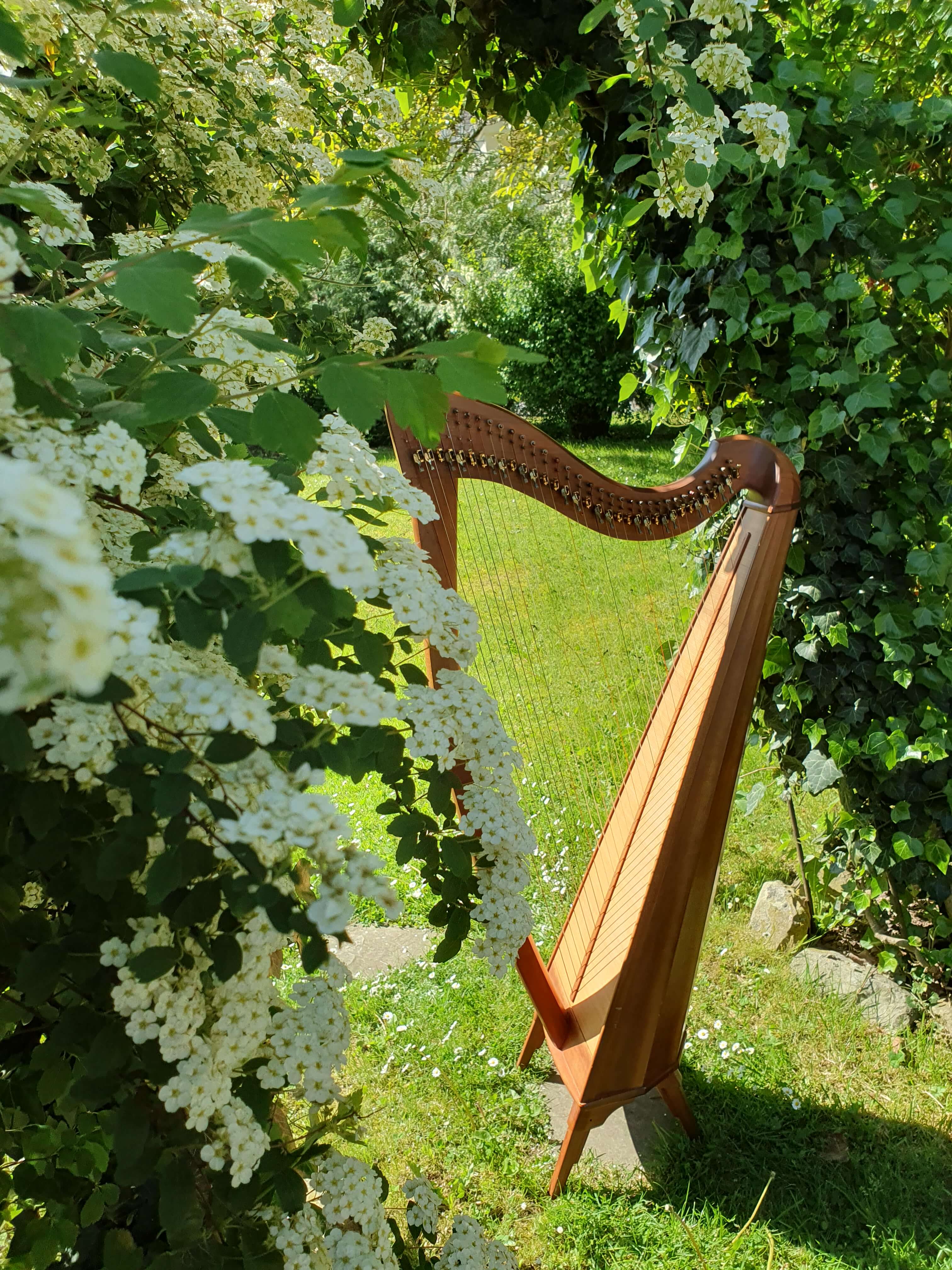 Harfenträume im Frühling